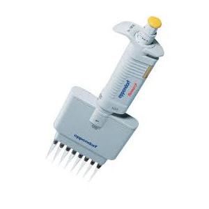 Eppendorf - Pipettes - EP-8-300R (Certified Refurbished)